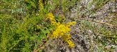 Enlarge photo 316