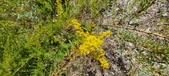 Enlarge photo 315