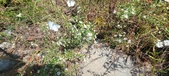 Enlarge photo 311