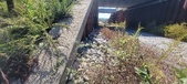 Enlarge photo 310