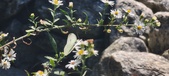 Enlarge photo 309