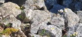 Enlarge photo 306
