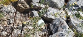 Enlarge photo 305