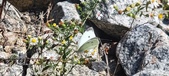 Enlarge photo 304