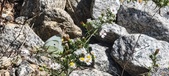 Enlarge photo 301