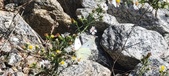 Enlarge photo 300