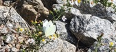 Enlarge photo 299