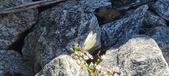 Enlarge photo 296