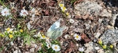 Enlarge photo 294