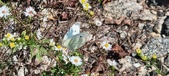 Enlarge photo 293
