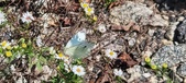 Enlarge photo 292