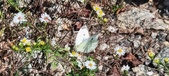 Enlarge photo 289