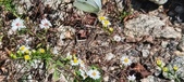 Enlarge photo 288