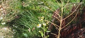 Enlarge photo 286