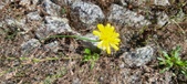 Enlarge photo 284