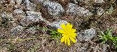 Enlarge photo 283