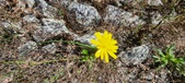 Enlarge photo 282