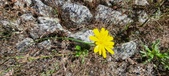 Enlarge photo 281