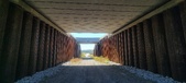 Enlarge photo 277