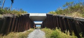 Enlarge photo 243