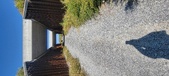 Enlarge photo 237
