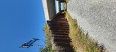 Enlarge photo 233