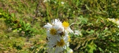 Enlarge photo 214