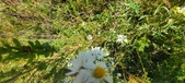 Enlarge photo 213