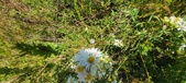 Enlarge photo 212