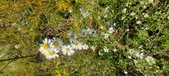 Enlarge photo 211