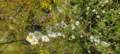 Enlarge photo 207