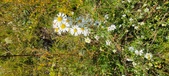 Enlarge photo 208