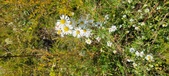 Enlarge photo 209