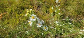 Enlarge photo 206