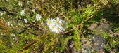 Enlarge photo 205