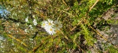 Enlarge photo 204