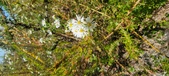 Enlarge photo 203