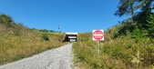 Enlarge photo 221