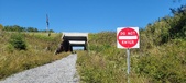 Enlarge photo 217
