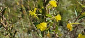 Enlarge photo 202