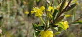 Enlarge photo 199