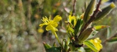 Enlarge photo 196