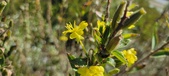 Enlarge photo 195