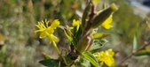 Enlarge photo 194