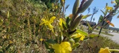 Enlarge photo 193