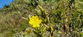 Enlarge photo 191