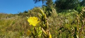 Enlarge photo 190