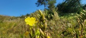 Enlarge photo 189