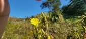 Enlarge photo 188