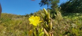 Enlarge photo 187